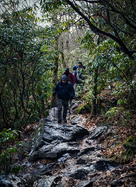 Blood Mountain — photo 9